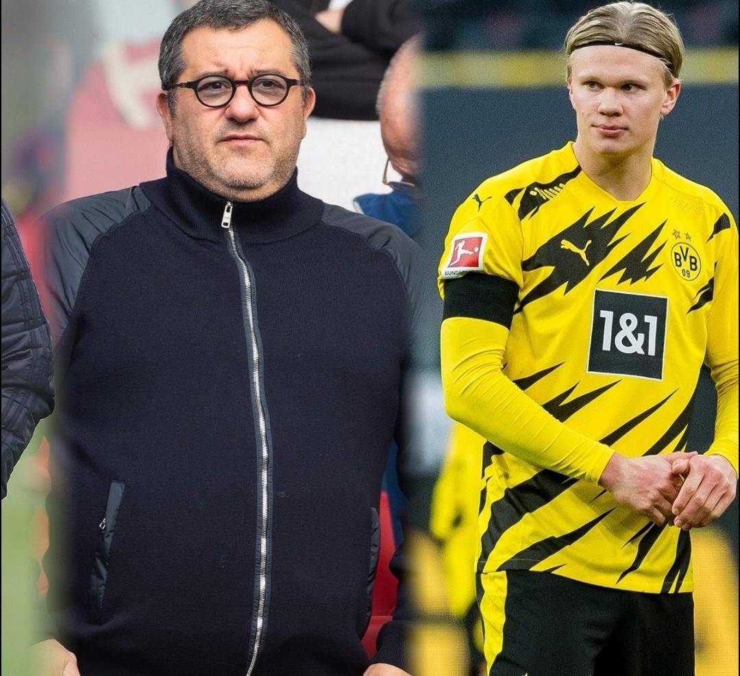 媒体放大镜 媒体放大镜